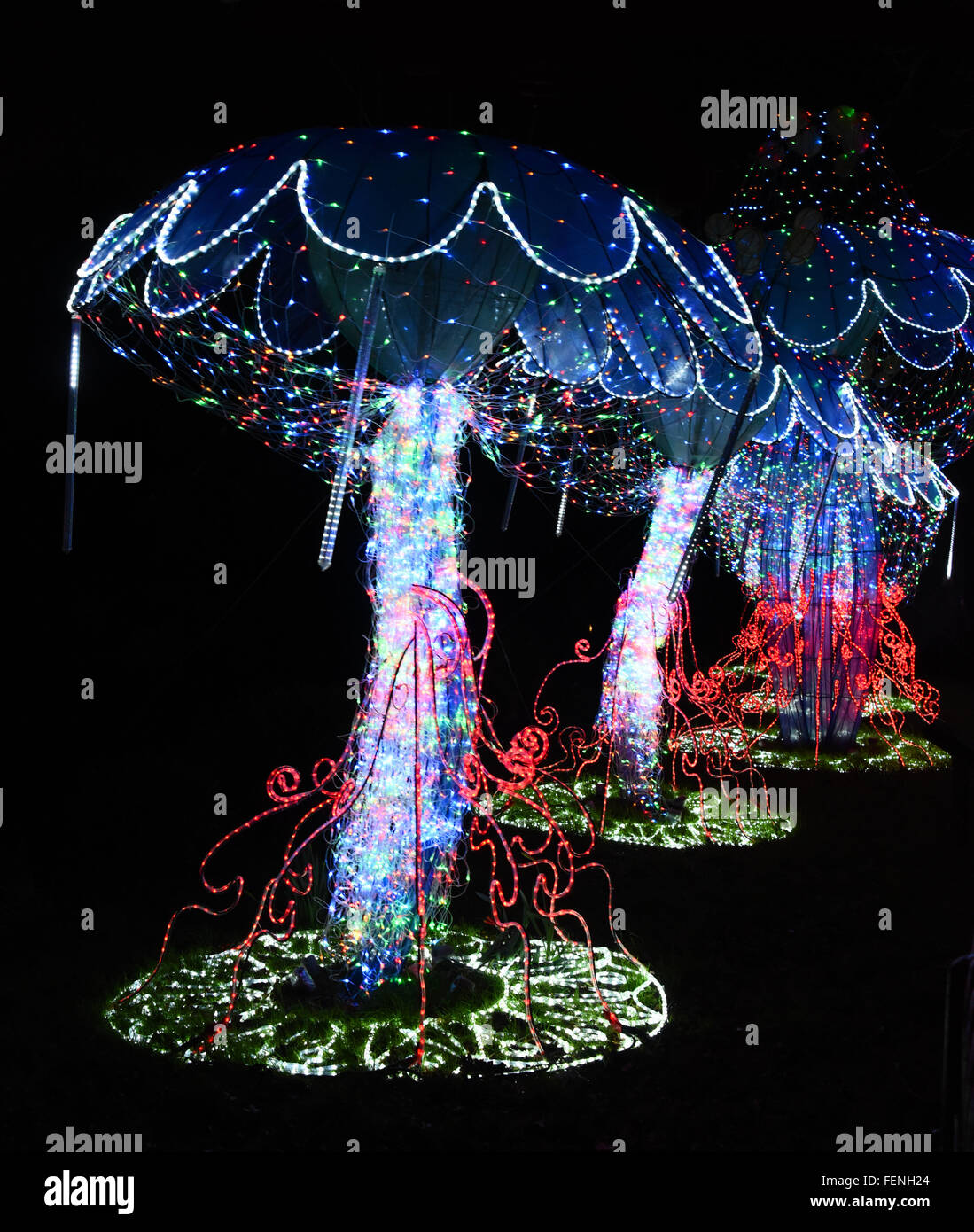 London, UK The Magical Lantern Festival Uk Premiere celebrating the