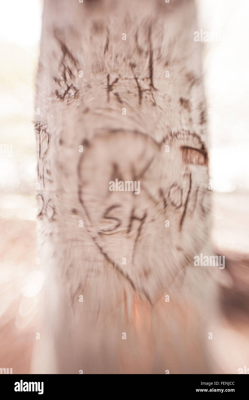 A tree with a blur effect has hearts and initials carved into it. Stock Photo