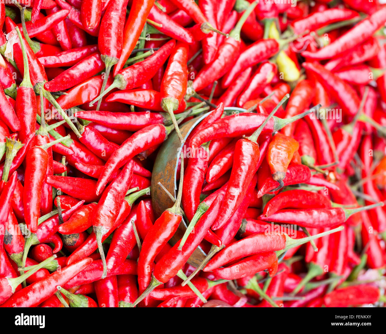 Green Chilli Wallpaper High Resolution Stock Photography and Images - Alamy