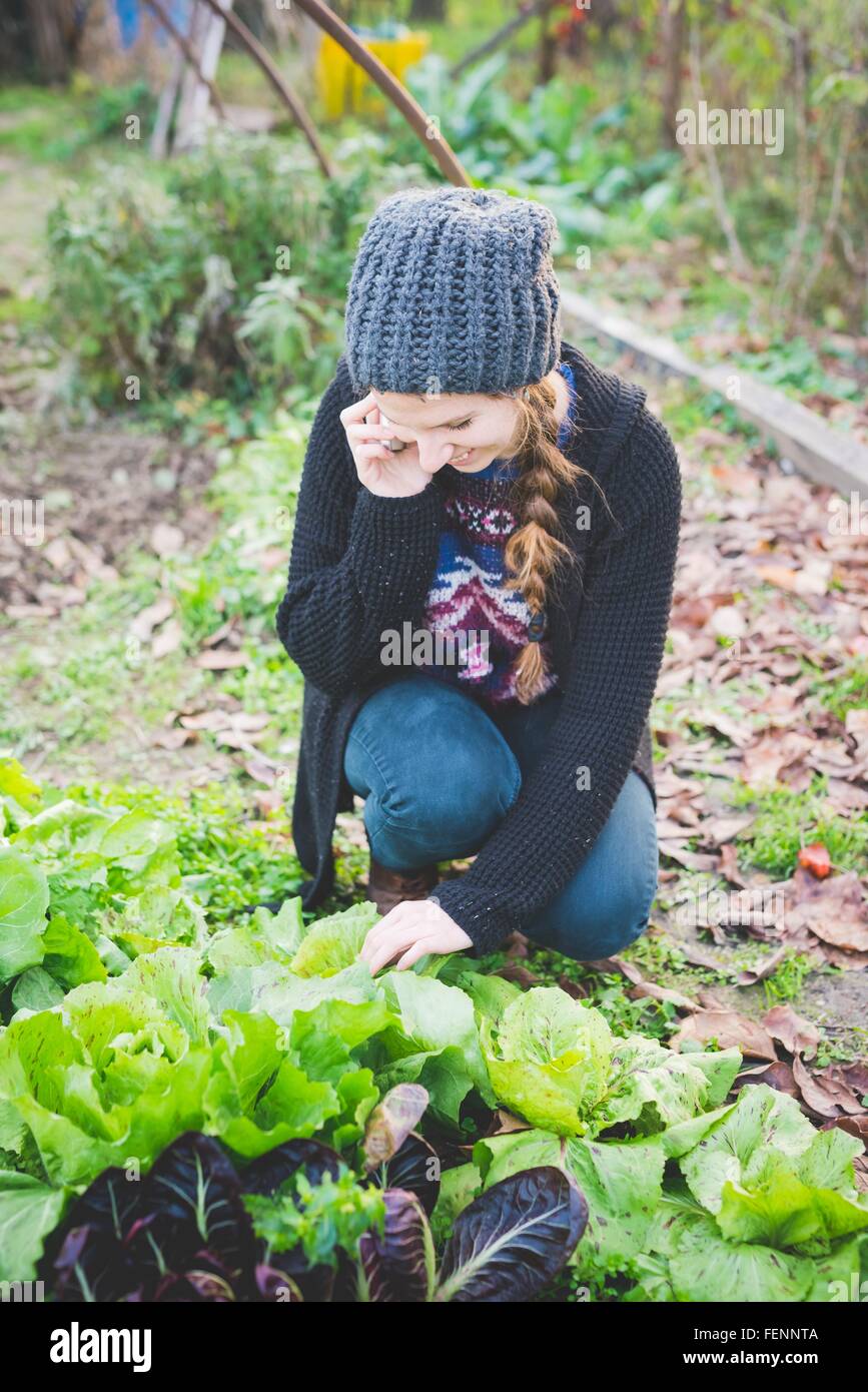 Young woman crouching in vegetable patch checking lettuce, using cellular phone smiling Stock Photo
