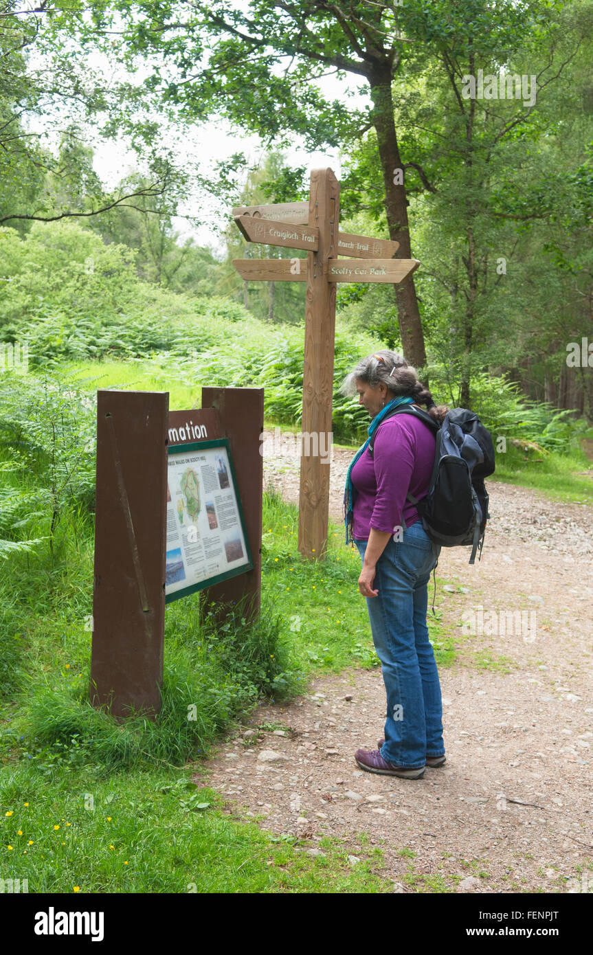 Walker on footpath network at Scolty Hill - near Banchory, Aberdeenshire, Scotland. Stock Photo