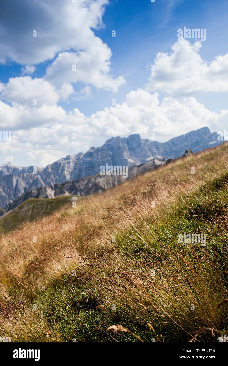 Steep hillside and mountains, Brixen, Dolomites, Austria Stock Photo