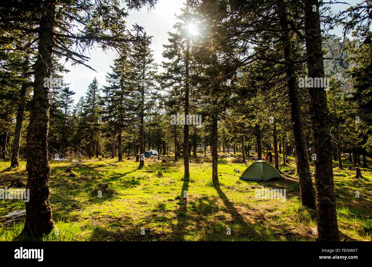 Young woman camping in sunlit forest hi-res stock photography and ...