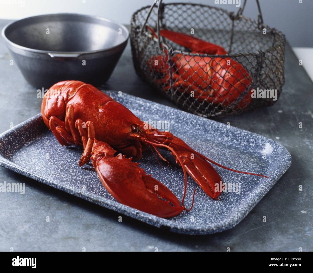 Lobster basket hires stock photography and images Alamy