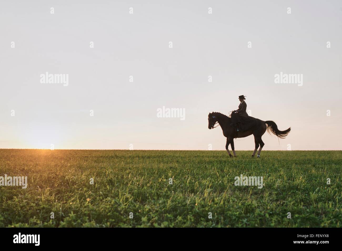 Silhouetted dressage horse and rider training in field at sunset Stock Photo
