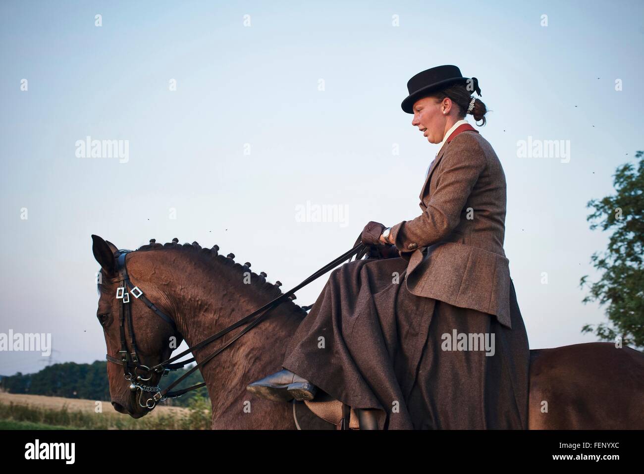 Mid adult woman riding and training dressage horse in field Stock Photo