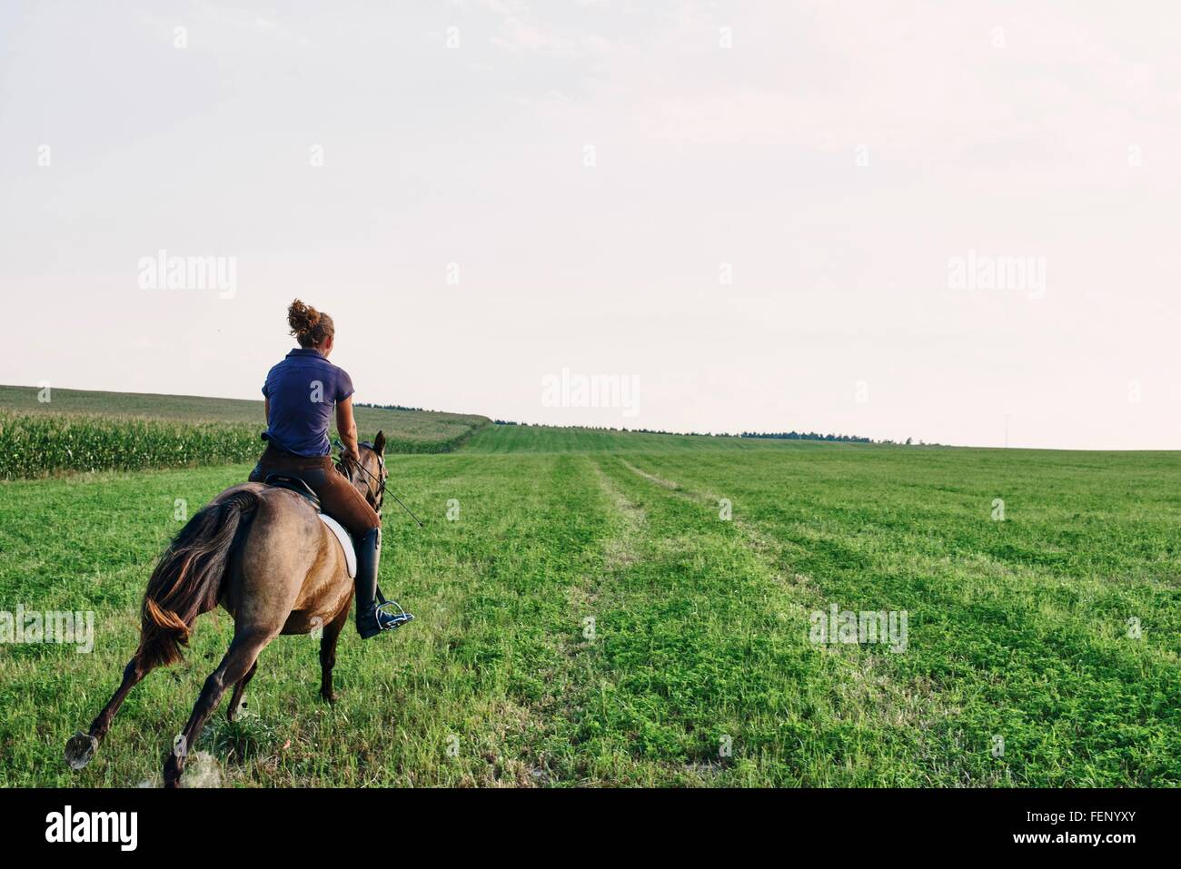 Rear view horse rider hi-res stock photography and images - Alamy