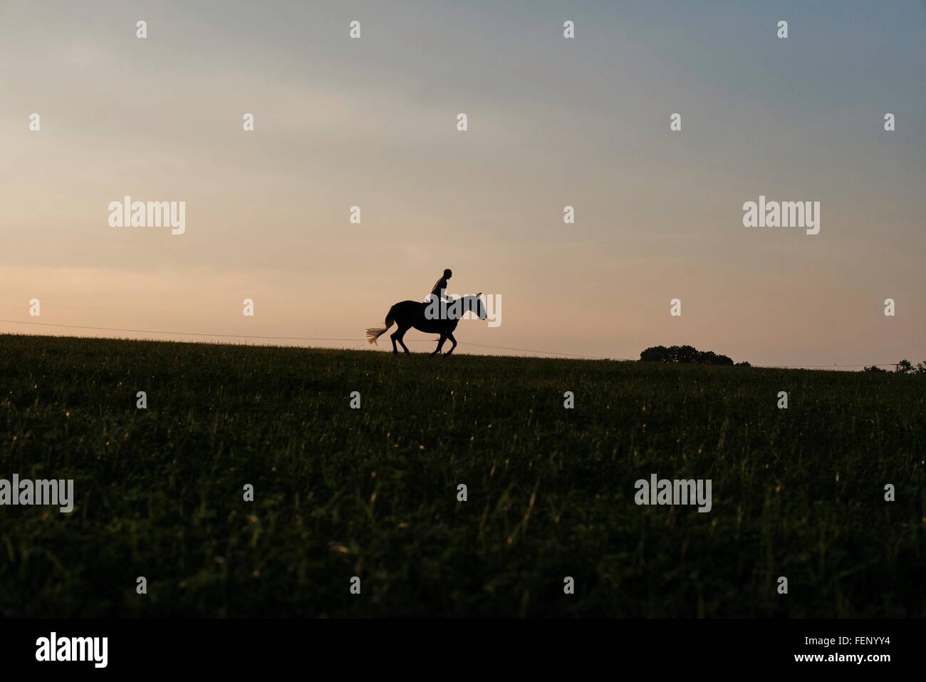 Silhouetted view of woman riding horse in field Stock Photo
