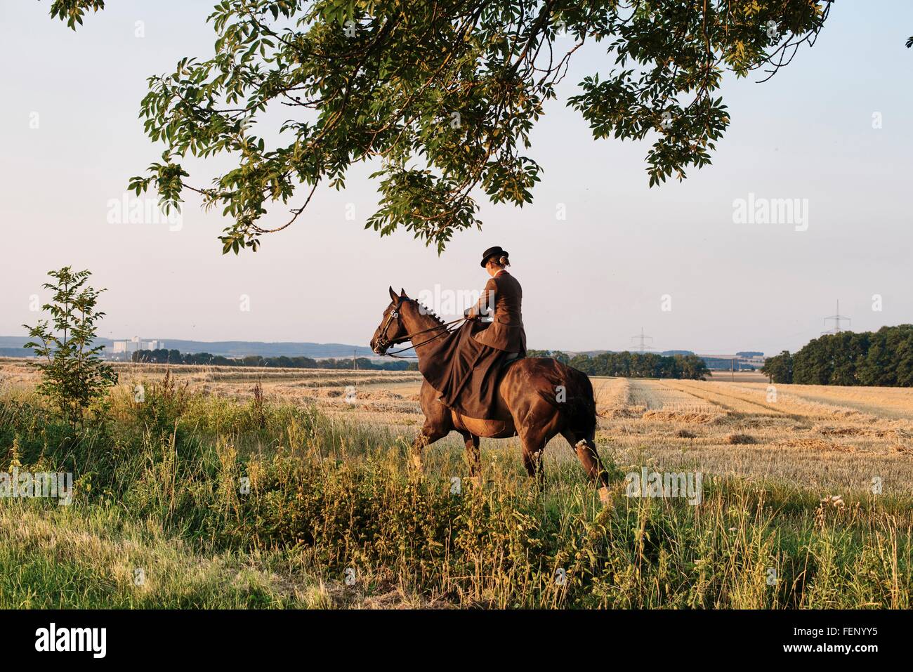 Woman riding horse in field Stock Photo