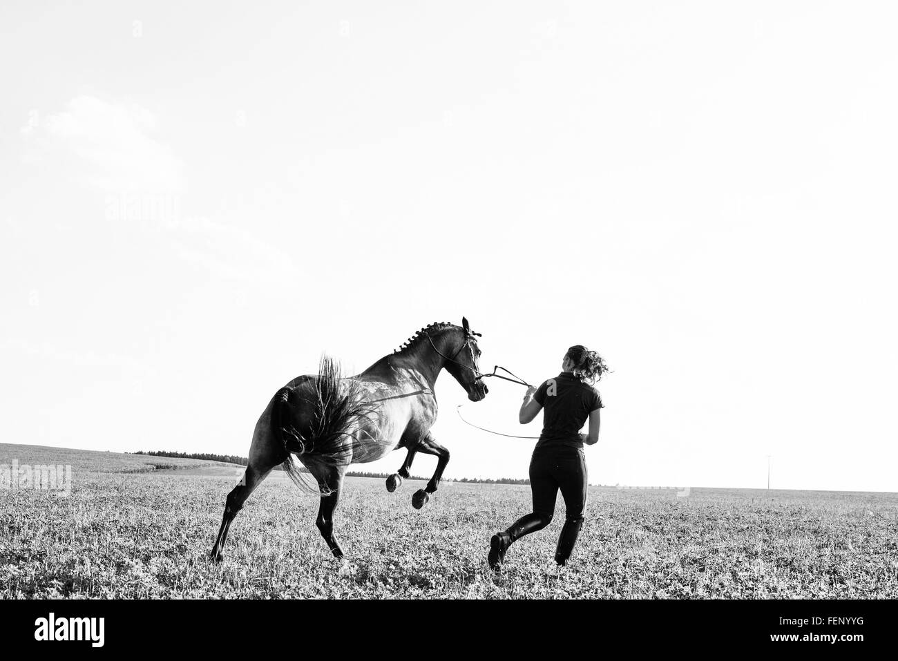 B&W image of woman training rearing horse in field Stock Photo