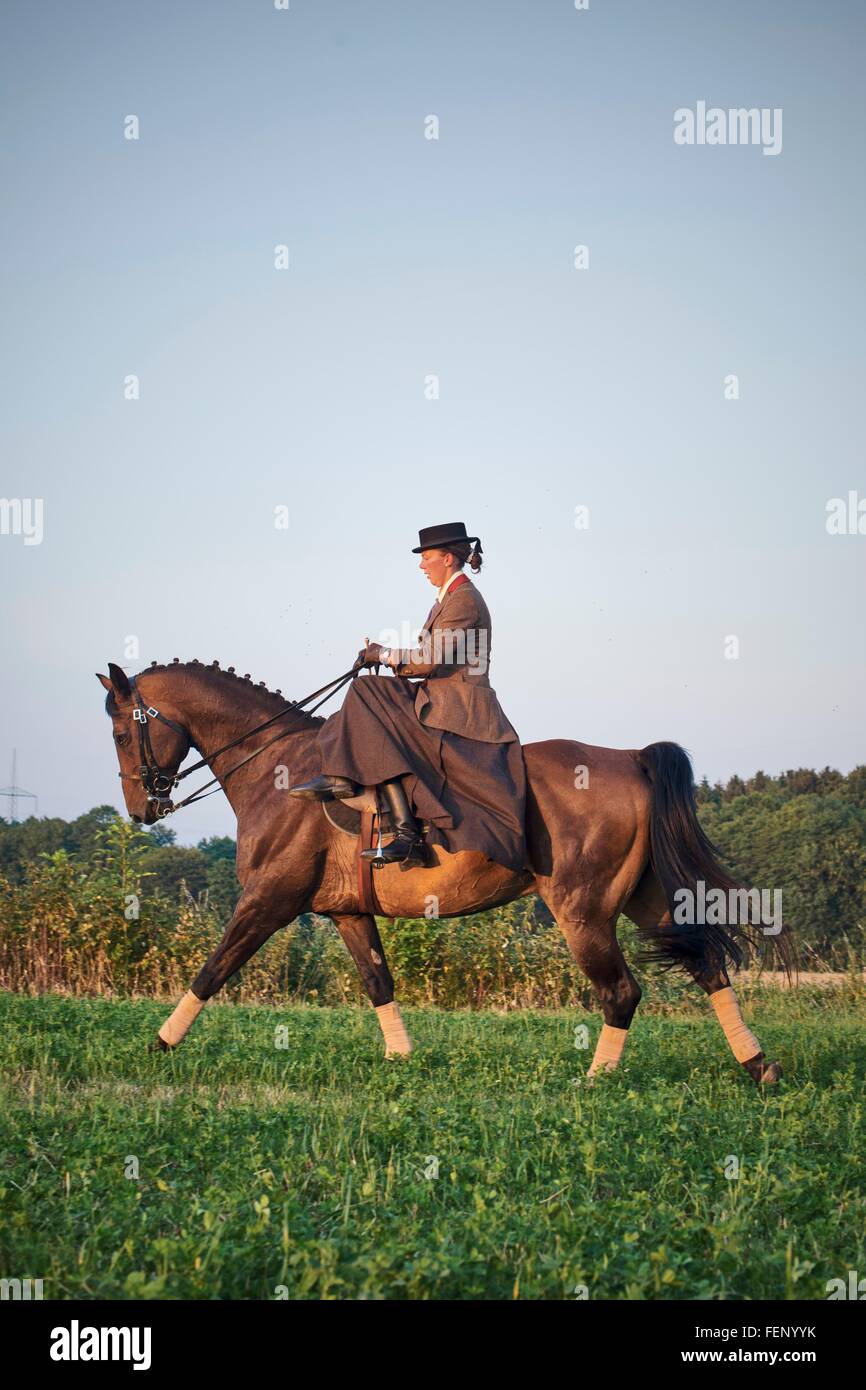 Woman riding and training dressage horse in field Stock Photo