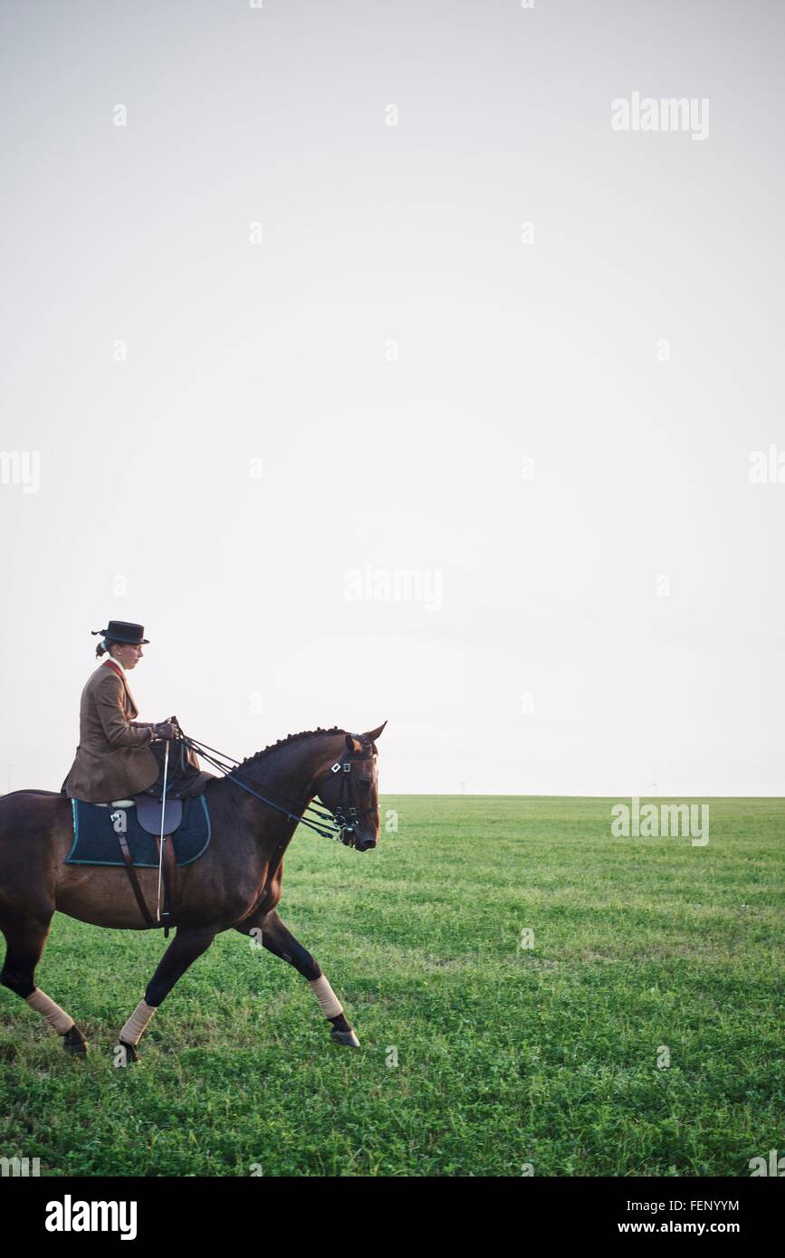 Woman riding dressage horse in field Stock Photo