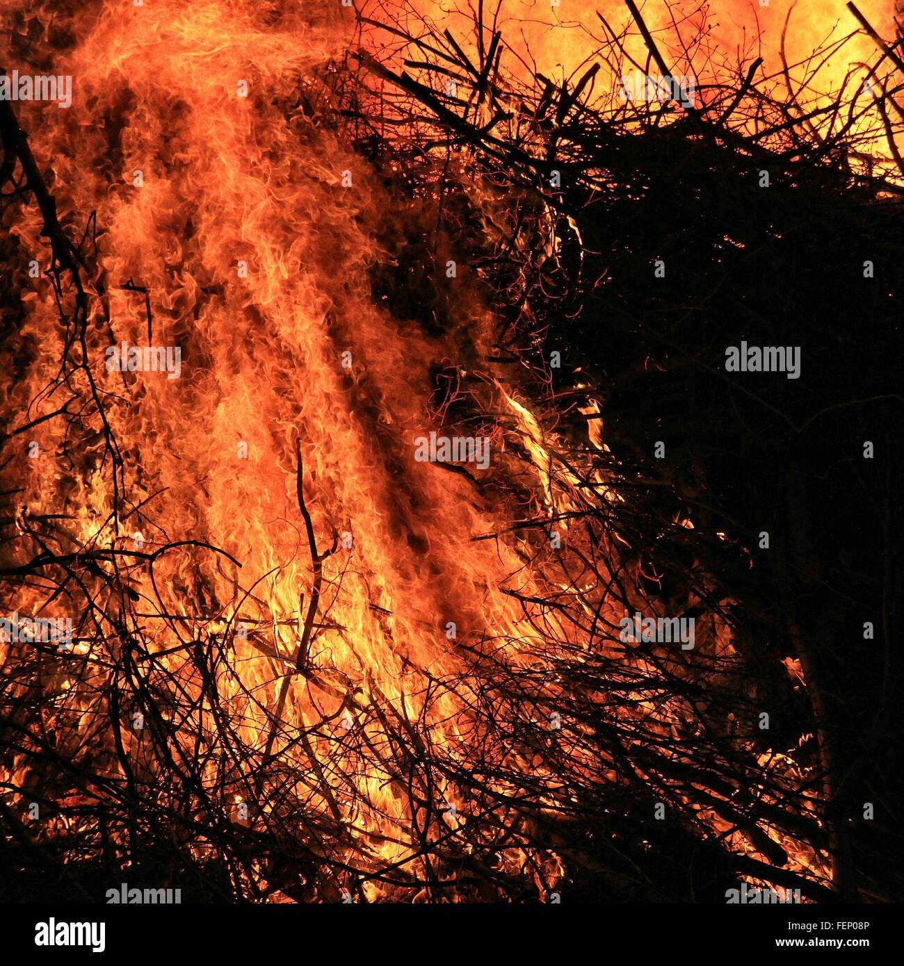 Fire In Forest Stock Photo - Alamy