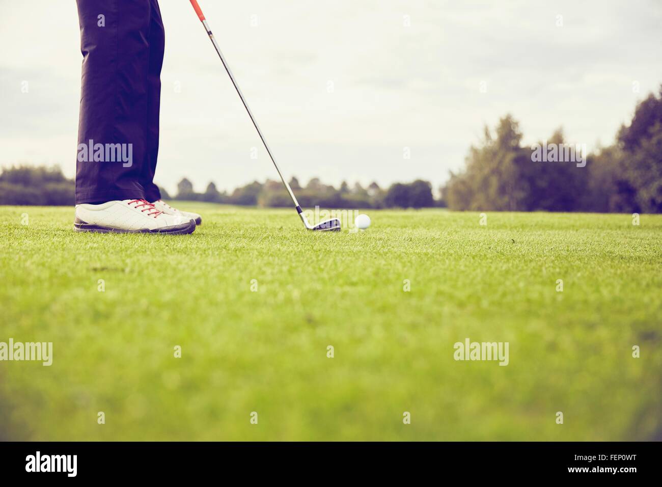 Golfer playing golf on course, Korschenbroich, Dusseldorf, Germany Stock Photo