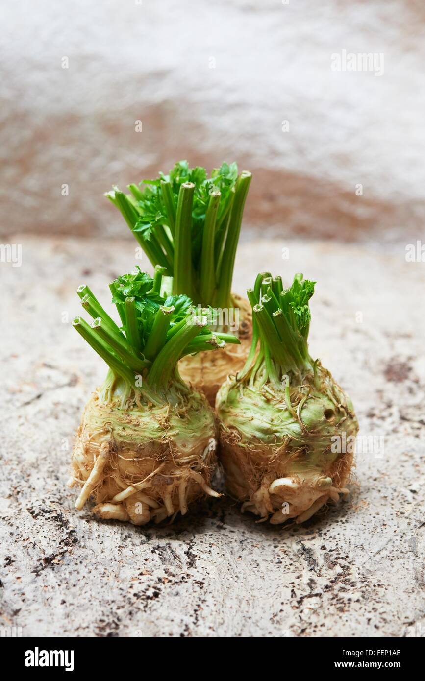 Three whole celeriac with fresh green leaves Stock Photo