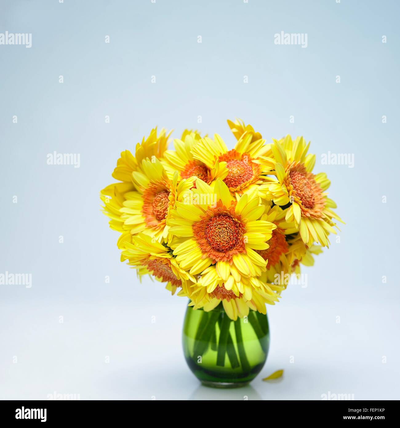 Yellow flowers vase hires stock photography and images Alamy