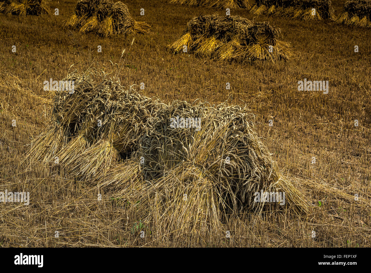 Lancaster county, PA. Pennsylvania farmland Stock Photo - Alamy