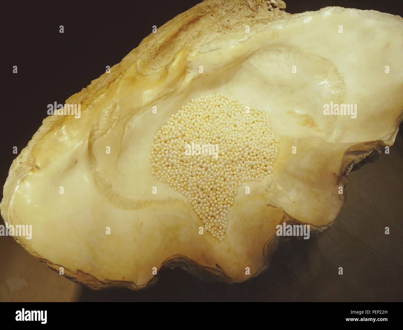 Shiny Pearls Inside Oyster Shell Stock Photo Alamy