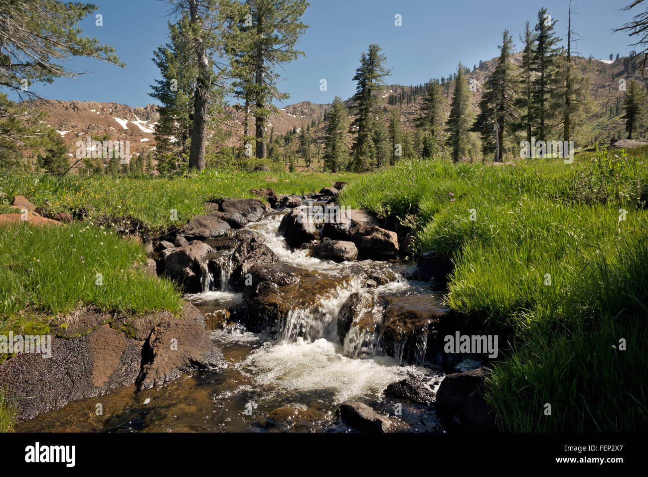 Boulder creek california hi res stock photography and images Alamy