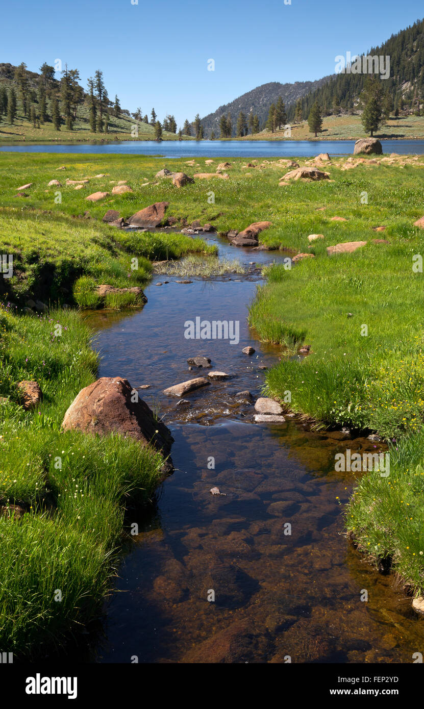 Boulder creek california hi res stock photography and images Alamy