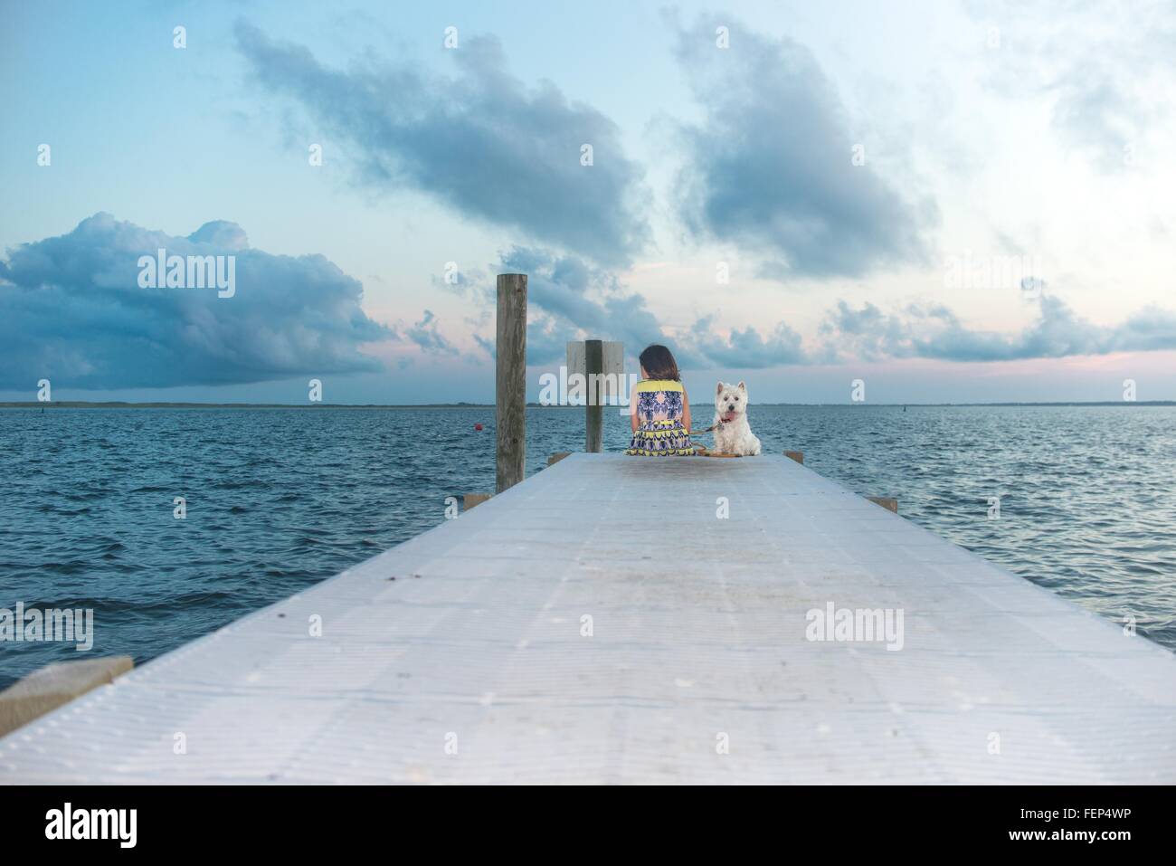 Portrait of dog sitting on sea pier next to girl Stock Photo - Alamy