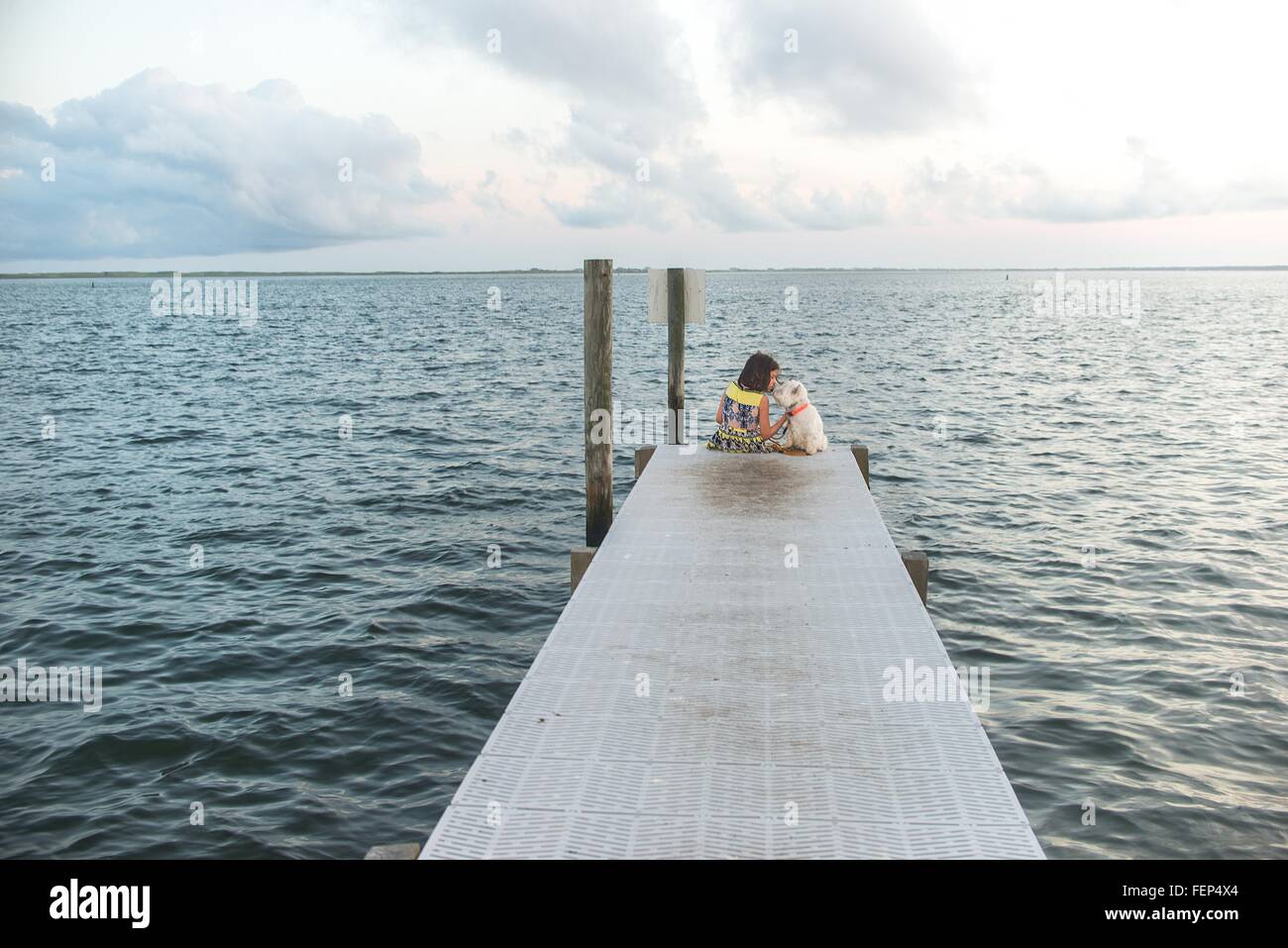 Rear view of girl sitting on sea pier petting dog Stock Photo - Alamy
