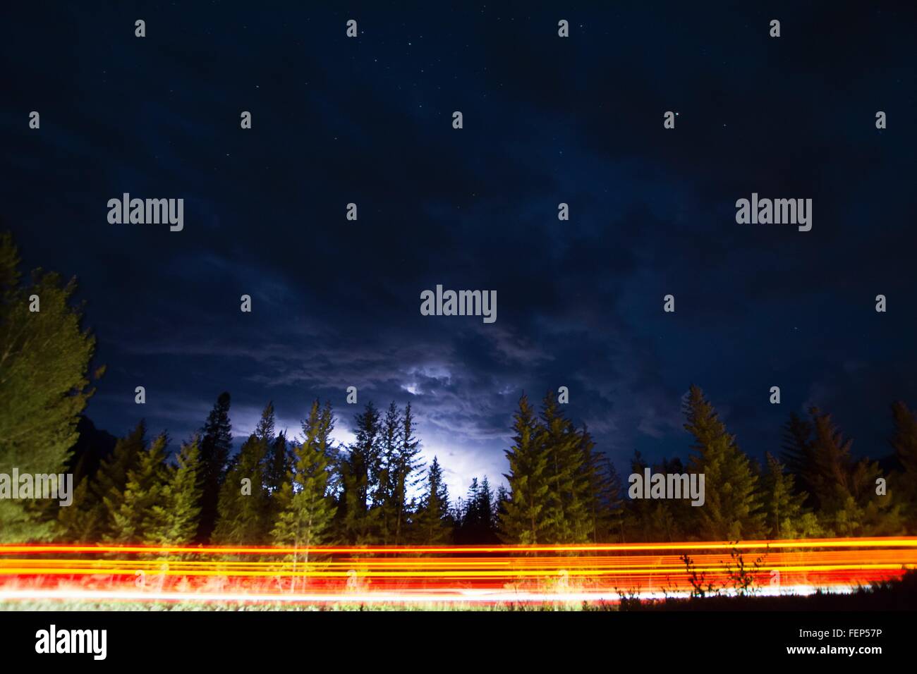 Car light trails on forest road at night, Whiteswan Lake Provincial Park, Canal Flats, British Columbia, Canada Stock Photo