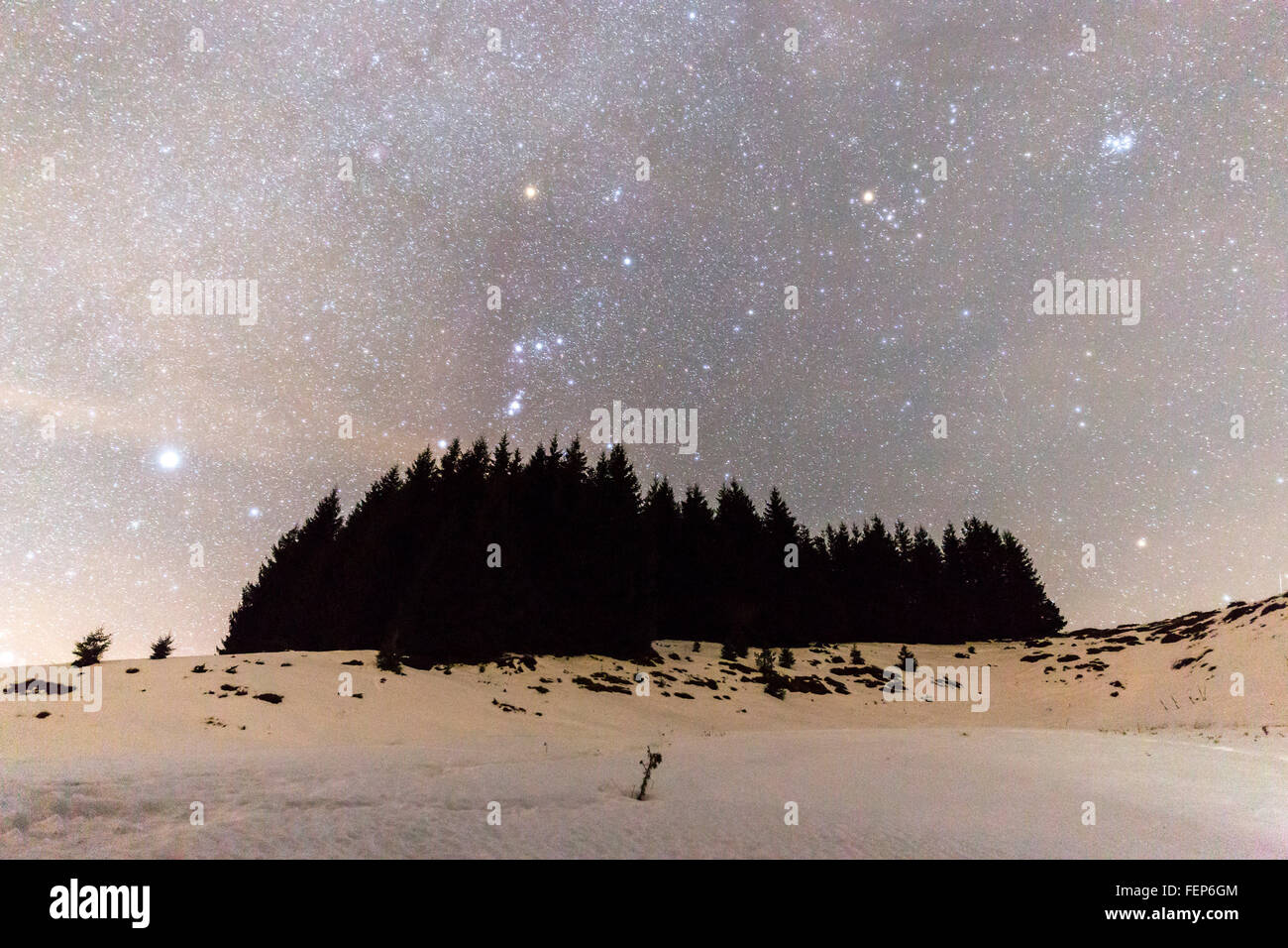 The Milky Way over the winter mountain landscape with pine trees in the foreground. Stock Photo