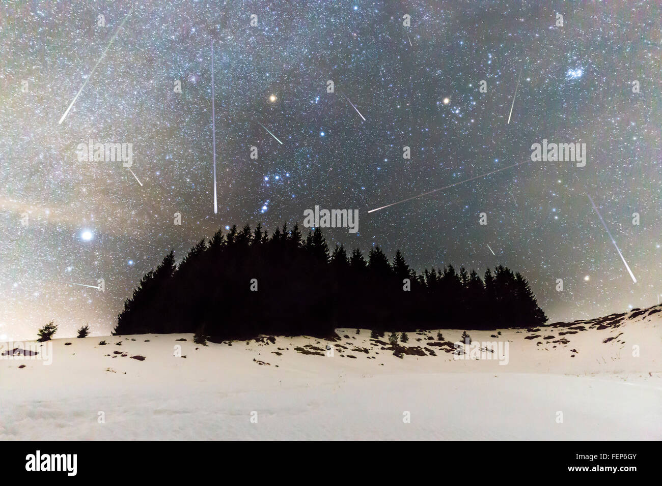The Milky Way over the winter mountain landscape with pine trees in the foreground. Geminids Meteor Shower. Falling stars. Stock Photo