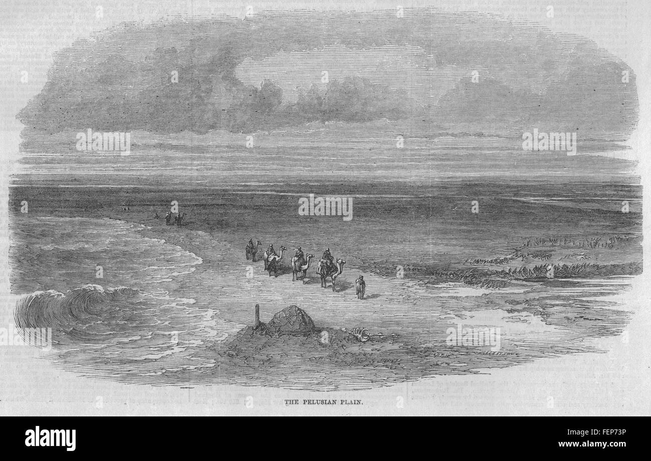 EGYPT Suez Canal The Pelusian Plain 1869. Illustrated London News Stock Photo