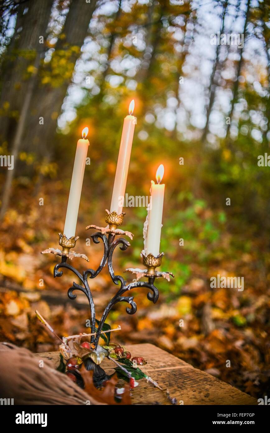 Candlelit candlestick in autumn forest at dusk Stock Photo Alamy