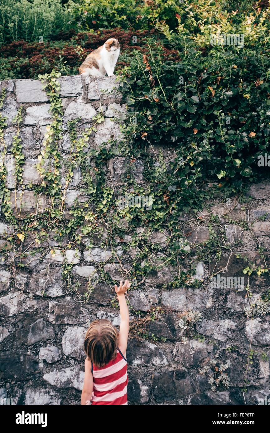 Rear view of boy reaching up to cat sitting on top of stone wall, Bludenz, Vorarlberg, Austria Stock Photo