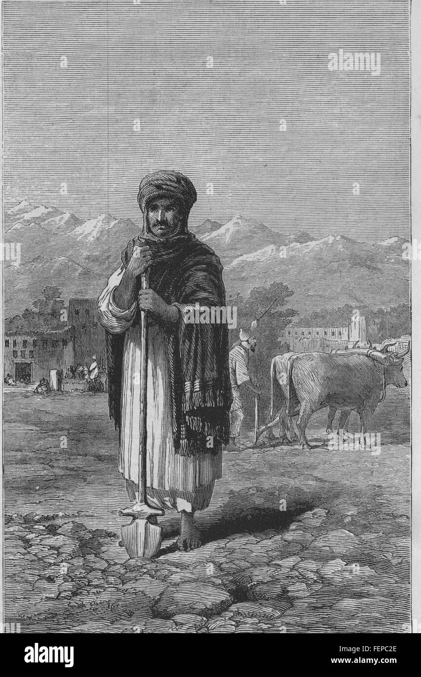 AFGHANISTAN Second Anglo-Afghan War An Afghan Agriculturist 1880. Illustrated London News Stock Photo