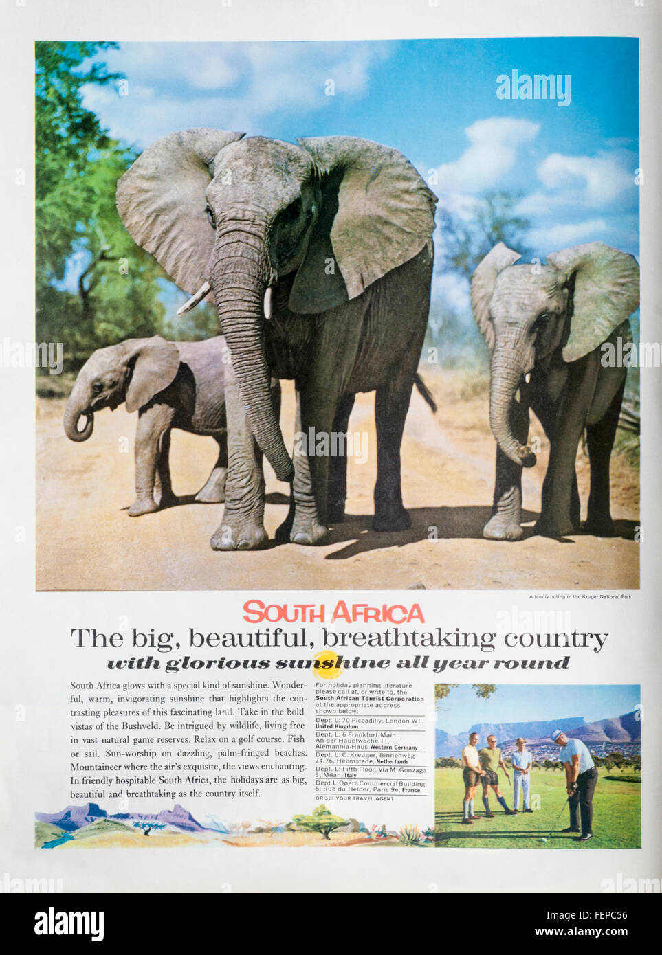 1960s magazine advertisement advertising travel to South Africa. Stock Photo