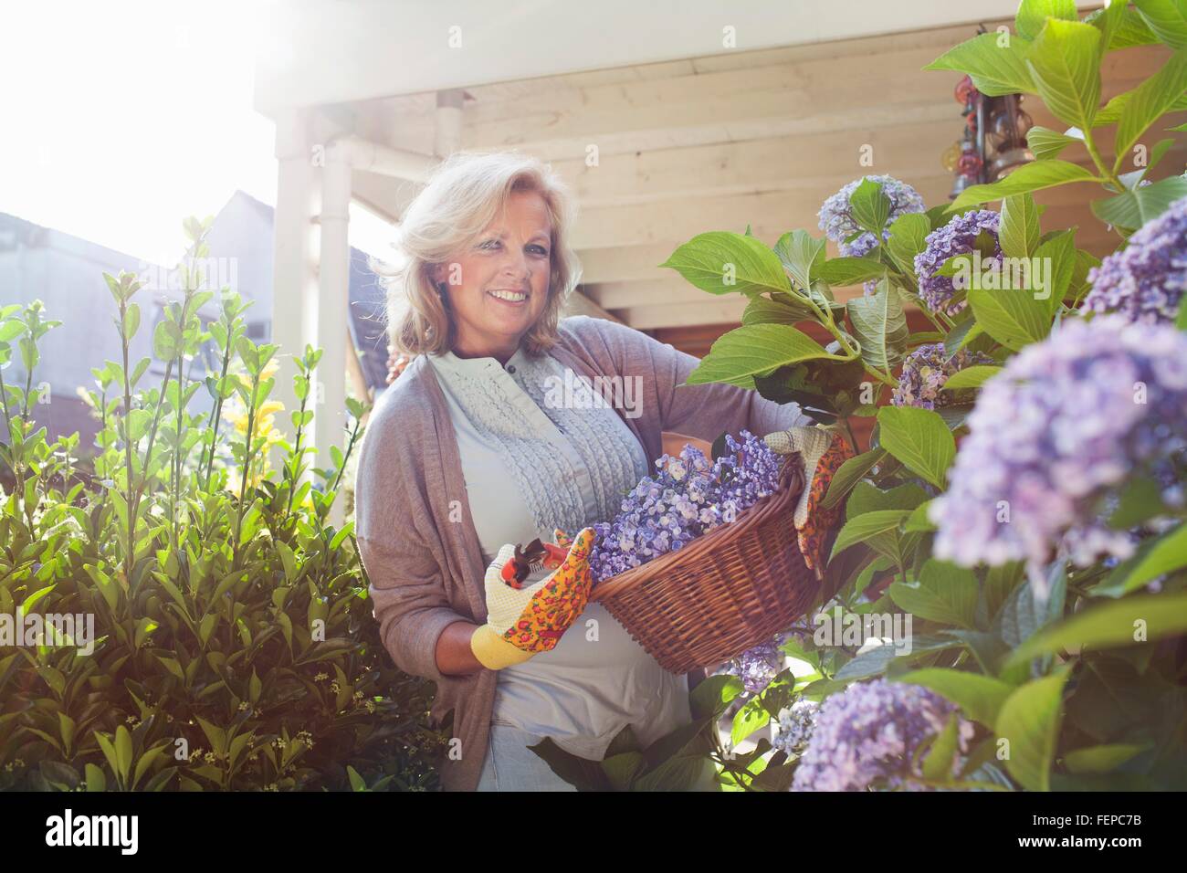 Portrait of mature woman in garden, holding basket of flowers Stock ...