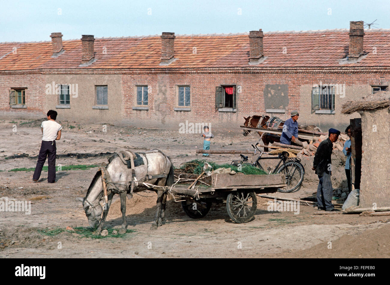 Horse and cart in Heilongjiang Province village, China Stock Photo