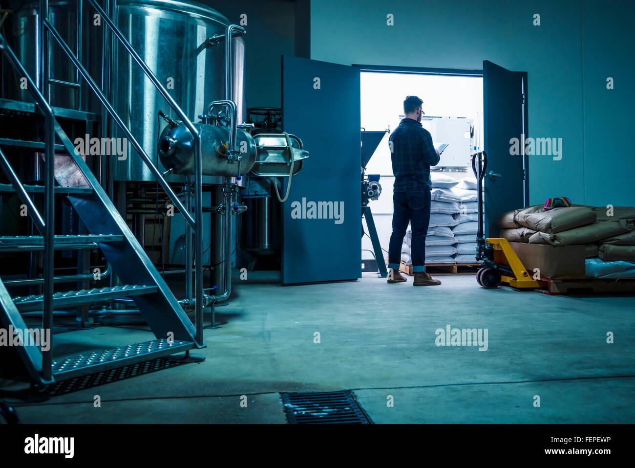 Full length rear view of young man in brewery storage room using digital tablet Stock Photo