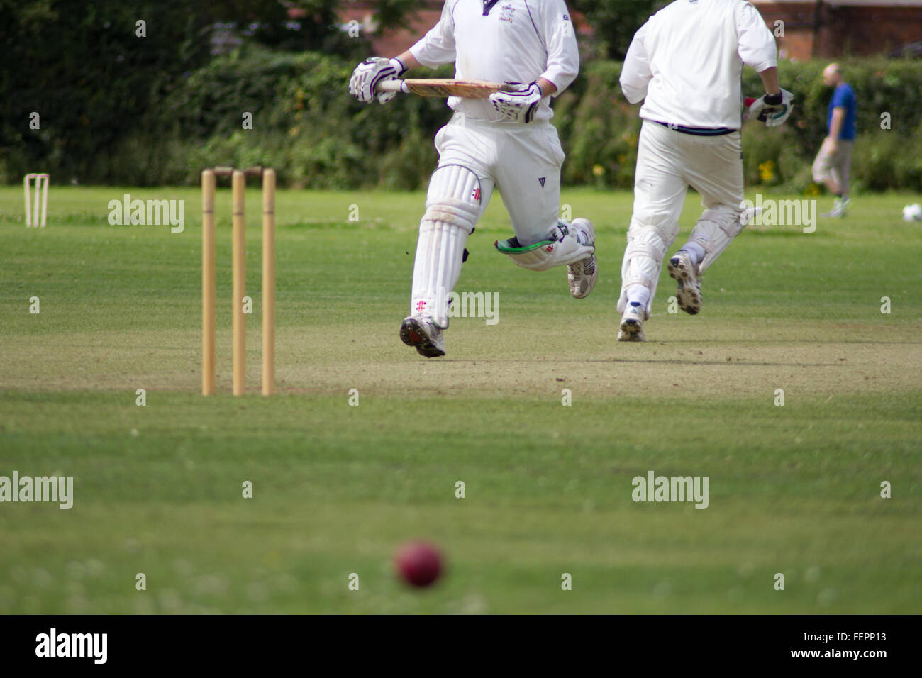 Village Cricket Stock Photo