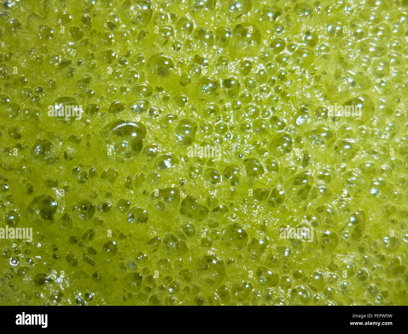 Close up of frothy green drink Stock Photo