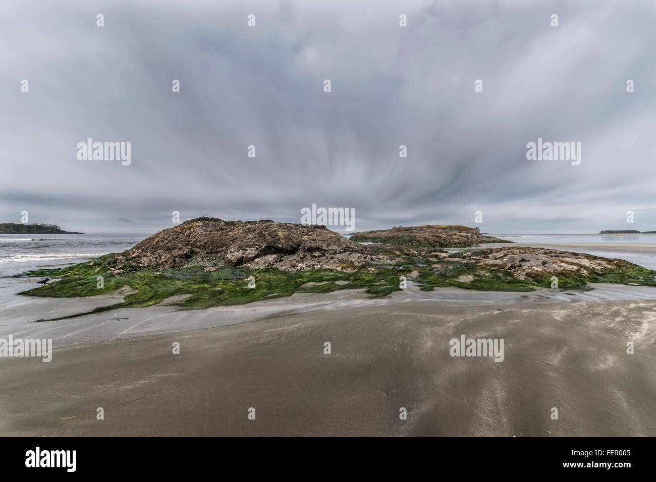 Low tide with raven, Chesterman Beach, Tofino, British Columbia Stock Photo
