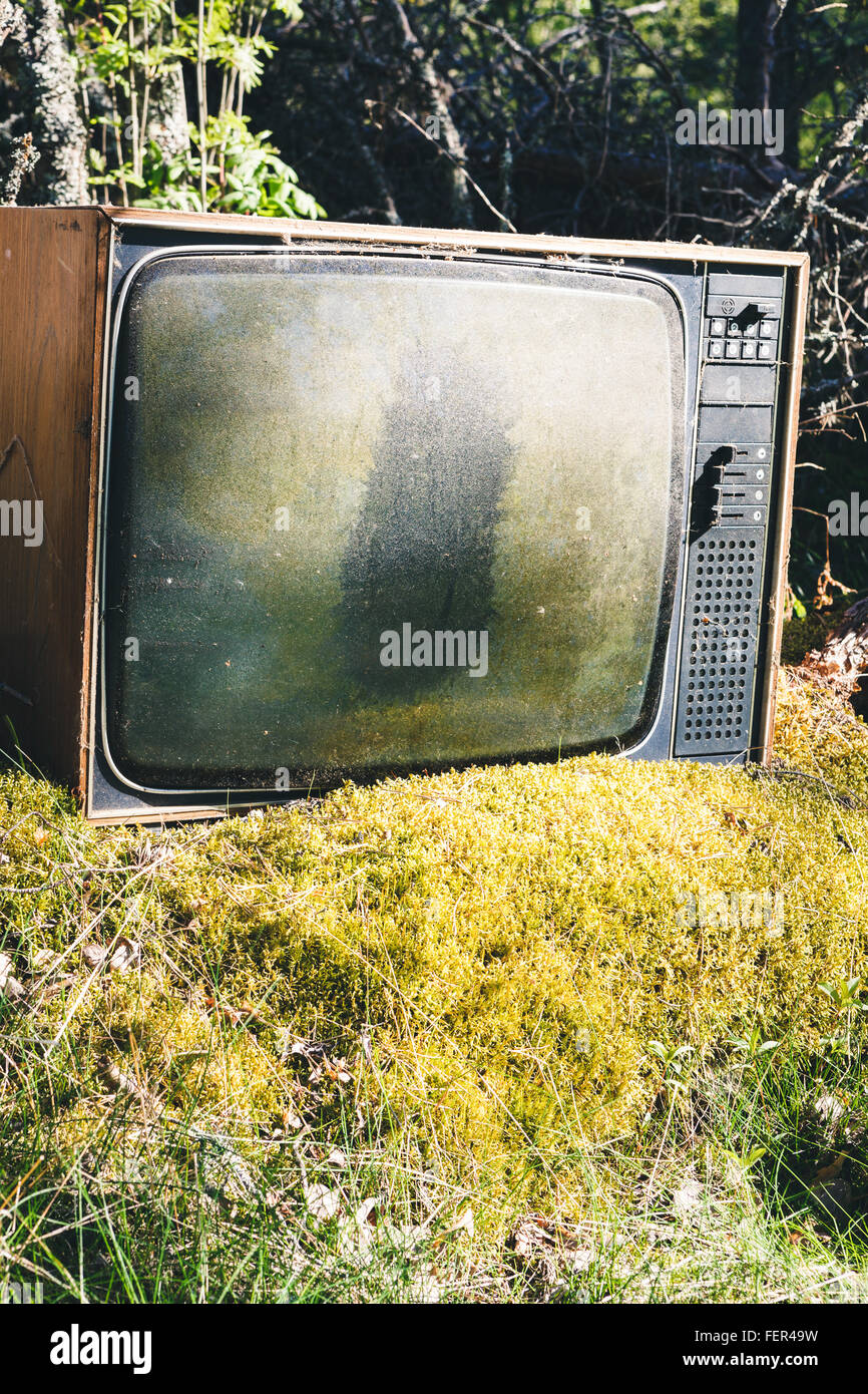 Old analog television in forest Stock Photo Alamy