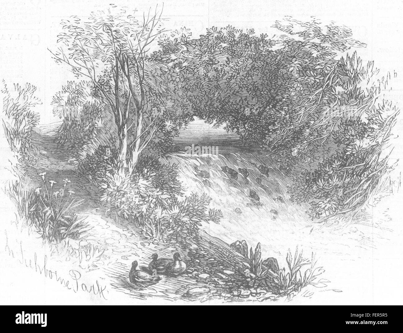 HAMPSHIRE Waterfall in Tichborne Park, Alresford, Hants 1871