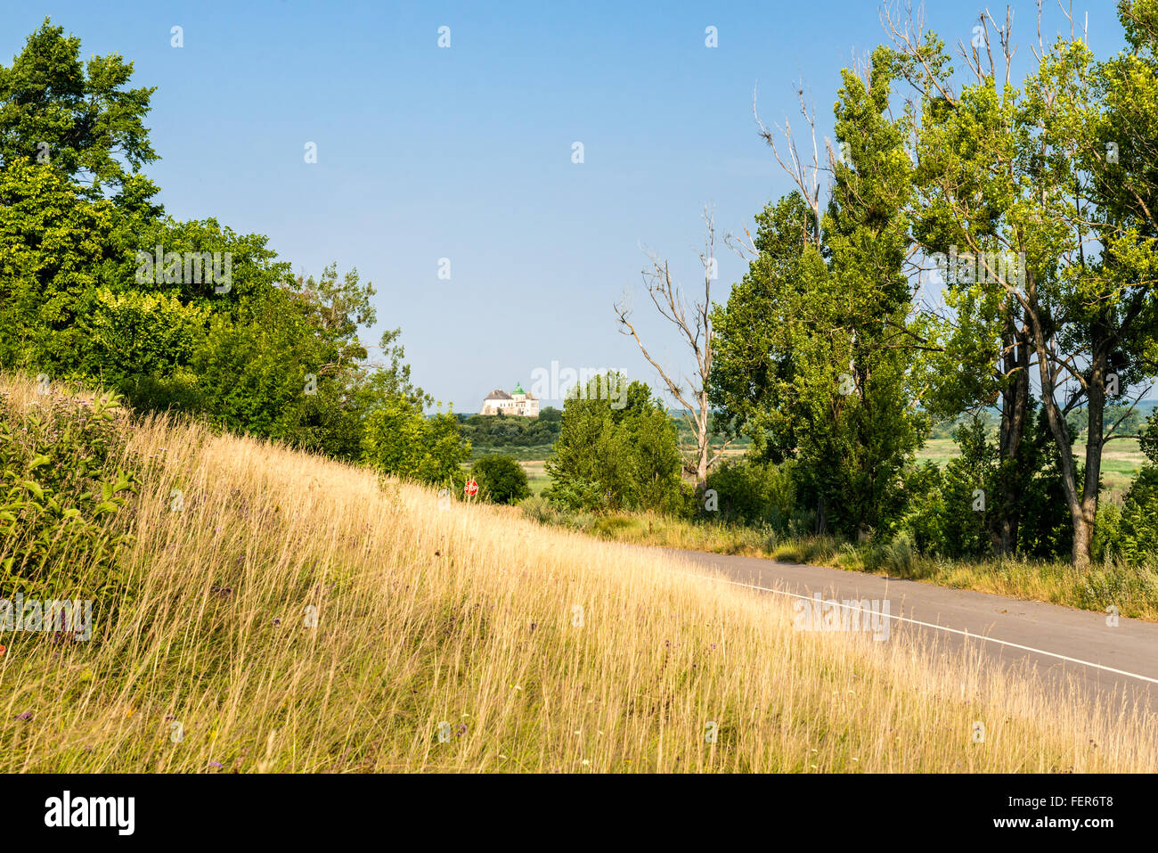 View at Olesko castle from nearby hill, Lviv Region, Ukraine Stock Photo