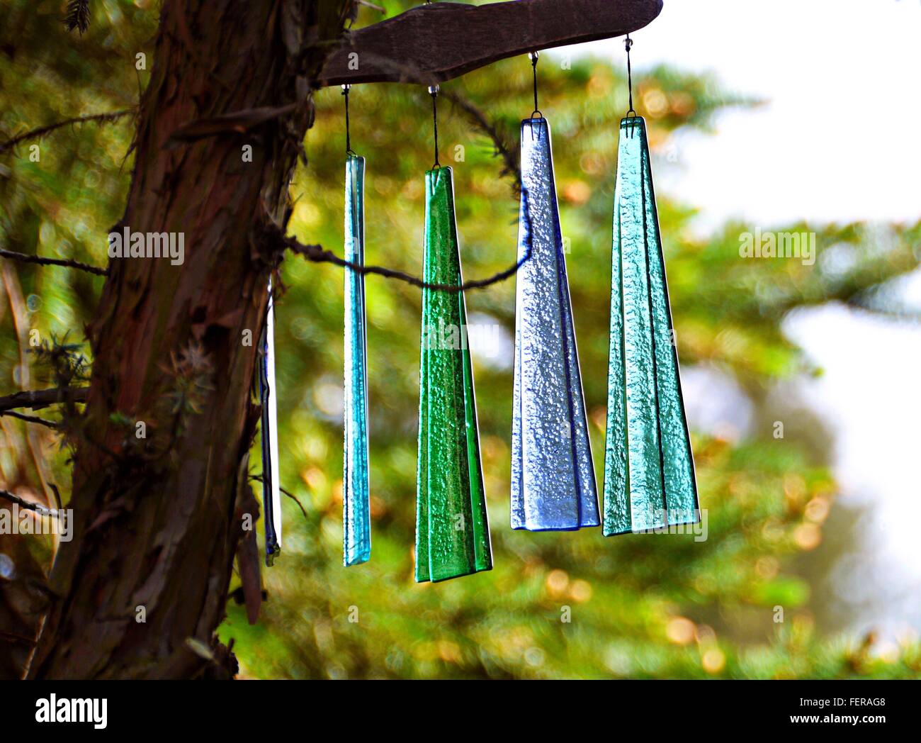 Multi Colored Wind Chimes Hanging From Tree Stock Photo