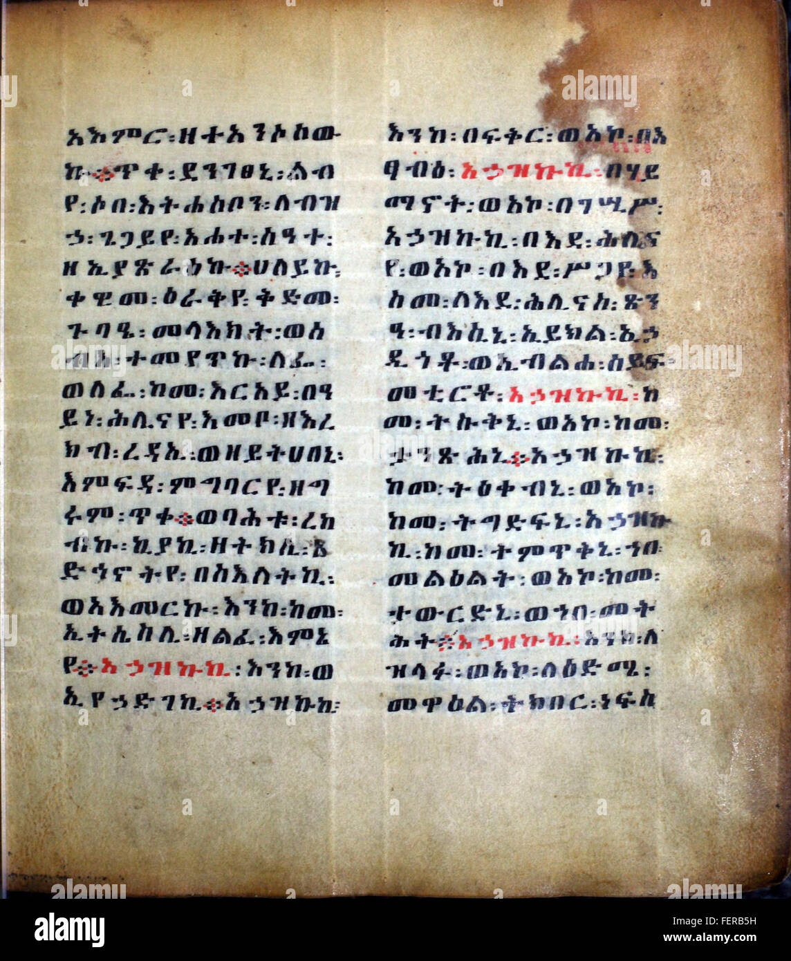 Page 049 of an Ethiopian Prayer Book, showcasing the intricate script ...