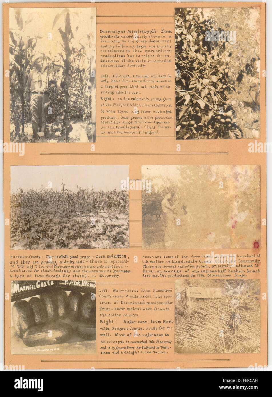 A visual record documenting the architecture and industrial development ...