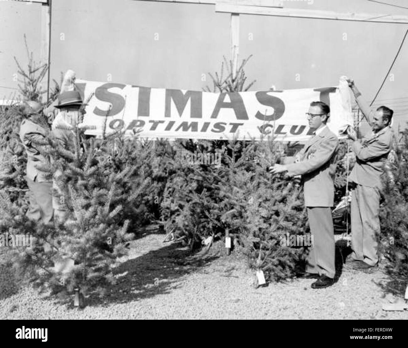 Optimist Club selling Christmas trees Tallahassee Stock Photo Alamy