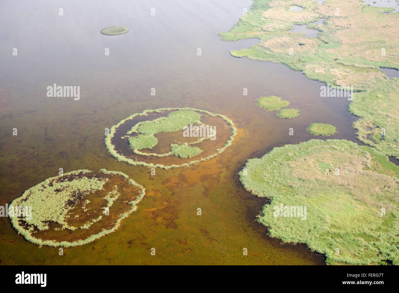 Mesotrophic Lake