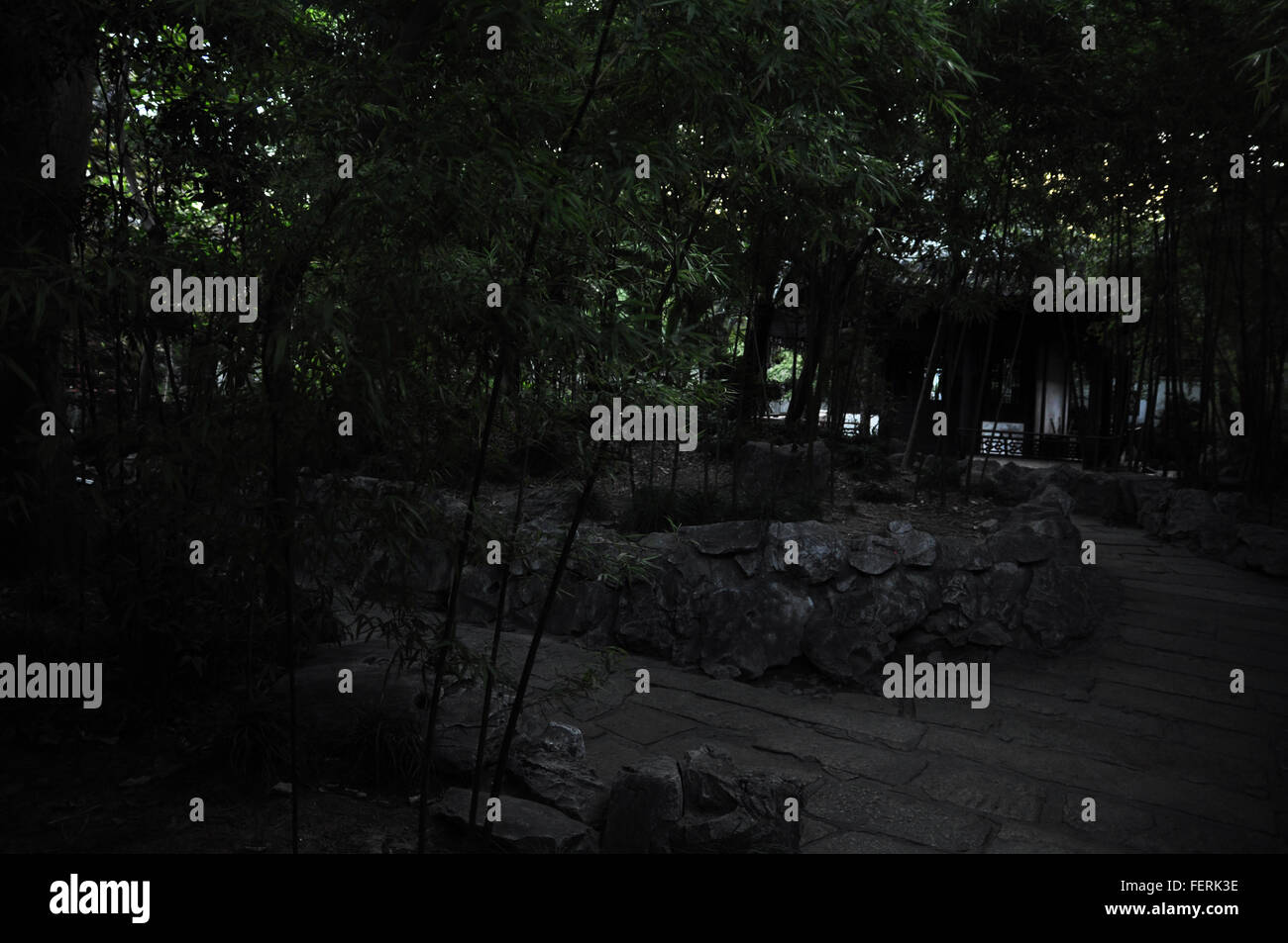 Trees By Walkway In Park Stock Photo - Alamy