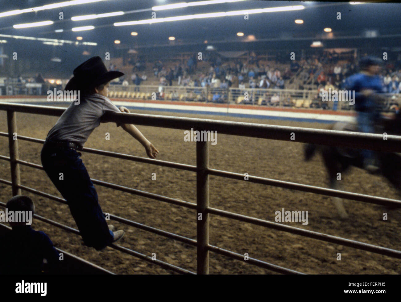 Houston Rodeo Spectators A photograph capturing the excitement of the Houston Rodeo, a major ...